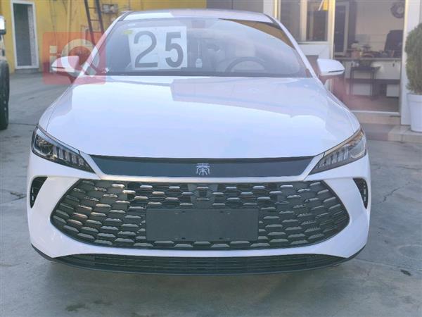 بی وای دی Qin Plus 2025  بۆ فرۆشتن لە عێراق - سلێمانی